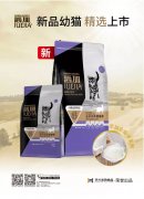 爵加新品幼貓精選上市！