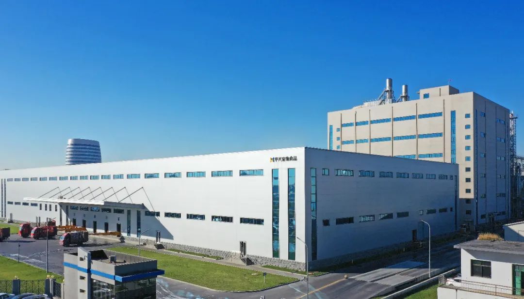 喜報丨華興寵物食品有限公司被認(rèn)定為“農(nóng)業(yè)產(chǎn)業(yè)化國家重點(diǎn)龍頭企業(yè)”！